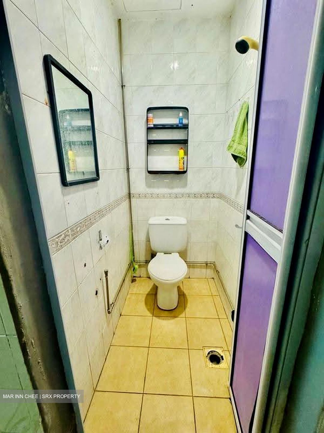 Ever Lodge (D14), Apartment #618797111
